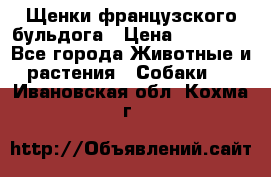 Щенки французского бульдога › Цена ­ 30 000 - Все города Животные и растения » Собаки   . Ивановская обл.,Кохма г.